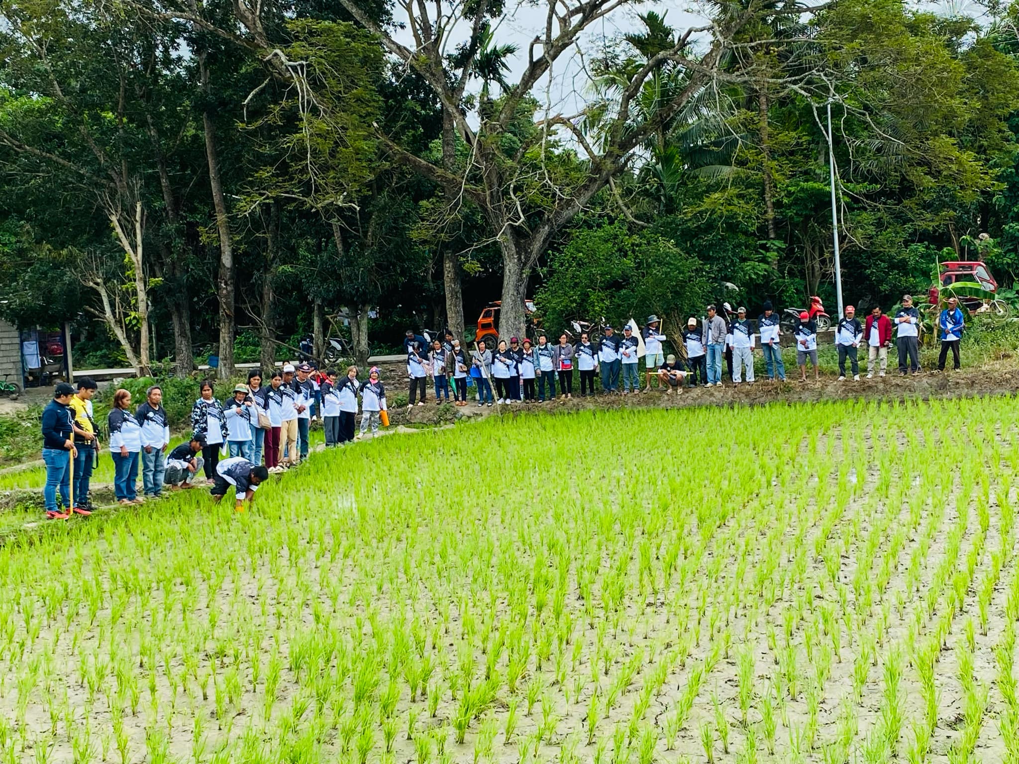 AWD Training for Irrigators Associations for the Alfonso Lista Pump Irrigation Project in Ifugao held on January 30, 2025